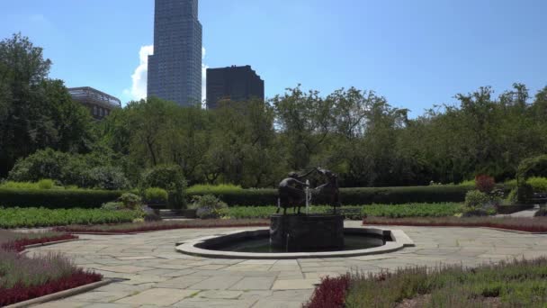 Вид Нью Йорк Центрального Парка — стоковое видео
