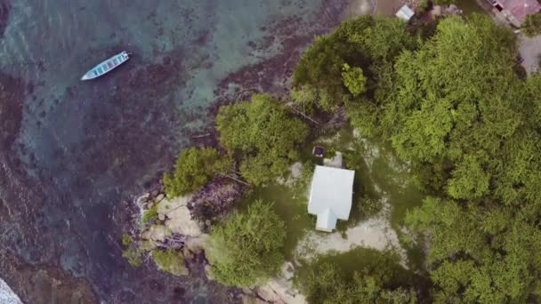 Aerial Birdseye Kilátás Treasure Beach Jamaica Strand Kristálytiszta Vizek Helyi — Stock videók