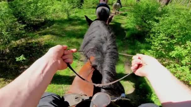 田舎の友人とトレイルライドで馬に乗る 一人称視点 — ストック動画