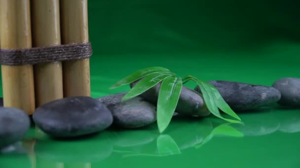 Spiritual Meditation Settings Bamboo Leaf Rocks — Stock Video