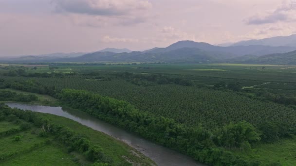 多米尼加共和国Altagracia别墅海纳河 椰子农场和山脉的空中景观 无人驾驶飞机射击 — 图库视频影像