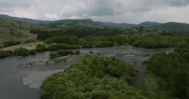 Mtkvari Fluss Mit Bunten Wildblumen Vorgebirge Der Berge Georgien Antenne — Stockvideo