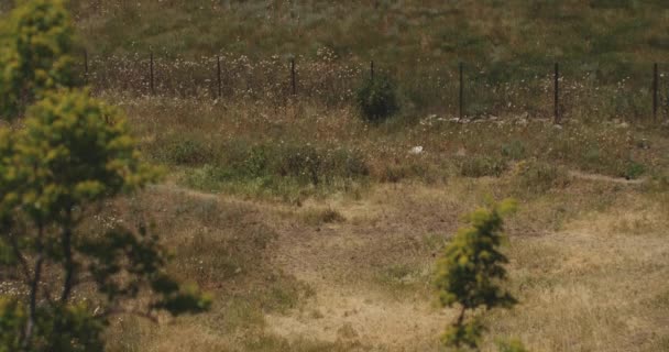 Монастырь Джвари Холме Мцхете Грузия Тигренок Застрелен — стоковое видео