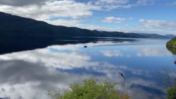 Prise Vue Statique Petit Bateau Pêche Naviguant Sur Loch Ness — Video