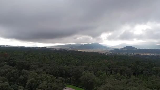 Hiperlapso Con Viento Favor Campo — Vídeo de stock