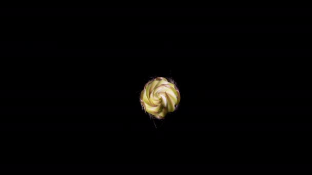 Кактус Збільшується Впадає Квітку Крупним Планом Макрос Декоративної Білої Квітки — стокове відео