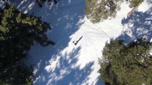 Muž Leží Dělá Sněžného Anděla Vzdušný Dron Střílí Jako Tyčil — Stock video