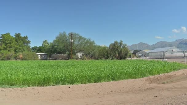 Campus Agricultural Center Tucson Arizona Skott Åkrar Och Växthus — Stockvideo