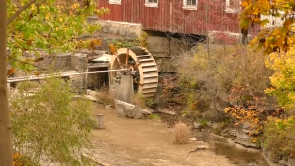 Водоспад Водоспад Розкриваються Потеплінням Осінніх Кольорів Тече Річка — стокове відео