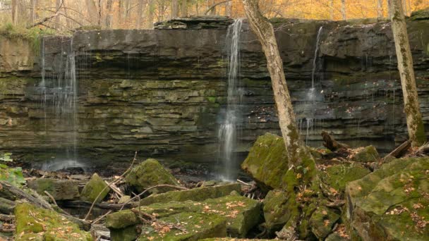 Vodopád Majestátní Geologické Skalní Konstrukci Podzimním Lese Statický Pohled — Stock video