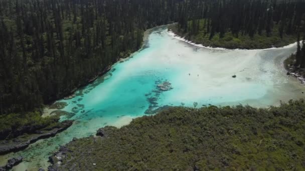 Veduta Aerea Della Piscina Naturale Oro Bay Nell Isola Pines — Video Stock