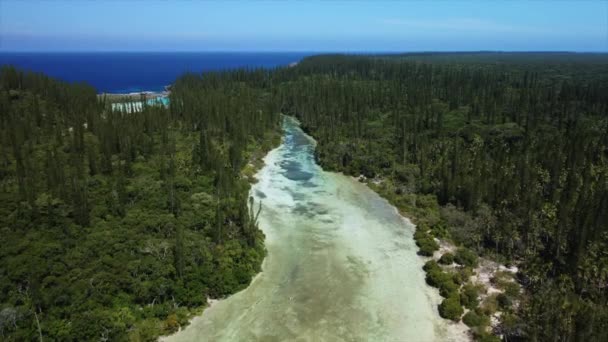 Lagünün Üstündeki Üstgeçit Oro Körfezi Çam Adası Ndaki Çam Ağaçları — Stok video