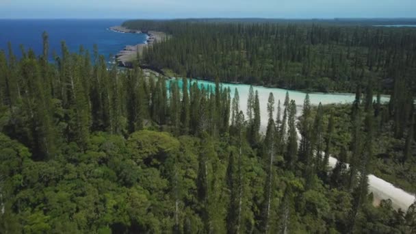 松の上の円柱状の松の上の空気圧は パイン島の素晴らしい自然プールであるオロー島に向かっています — ストック動画