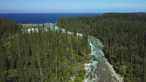 Oro Nun Doğal Havuzuna Uzanan Çam Ağacı Ormanlarından Geçen Dar — Stok video