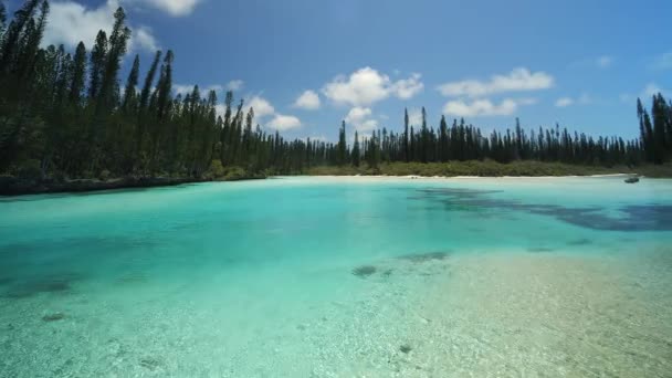 Das Kristallklare Wasser Naturpool Der Oro Bay Auf Der Insel — Stockvideo