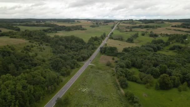 Foto Aérea Larga Carretera Con Coches Conducción Rodeados Frondosos Árboles — Vídeos de Stock