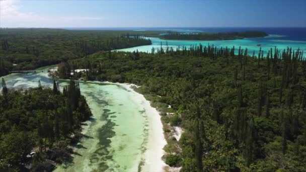 Sorvolo Aereo Panoramico Sopra Laguna Baia Oro Isola Pini Nuova — Video Stock