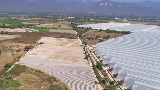 Vuelo Sobre Invernaderos Día Soleado — Vídeos de Stock