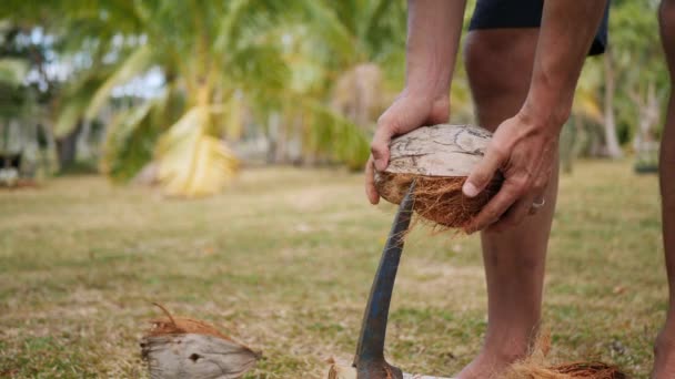Nahaufnahme Eines Mannes Der Eine Harte Äußere Schale Frischer Kokosnüsse — Stockvideo