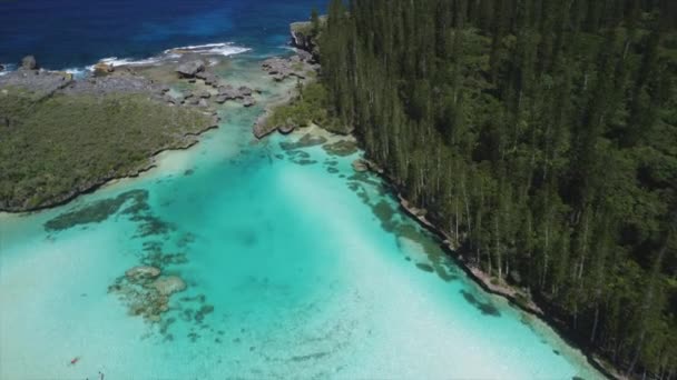 Piscina Natural Bahía Oro Isla Pinos Gotea Océano Pacífico Sobrevuelo — Vídeo de stock