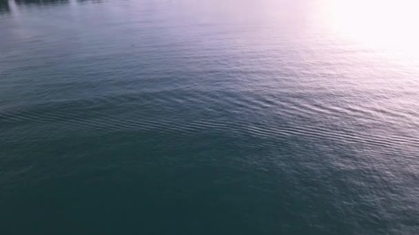 Drone Aerial Pan Tropical Blue Water Pier Sunrise — Stock Video