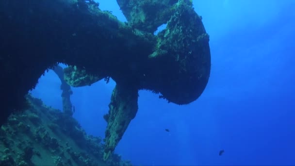 Grote Schroef Scheepswrak Onder Water — Stockvideo