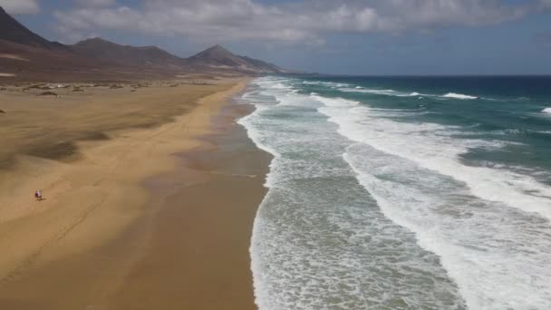 Güneşli Bir Günde Sarı Kum Mavi Okyanus Güçlü Denizle Kahve — Stok video