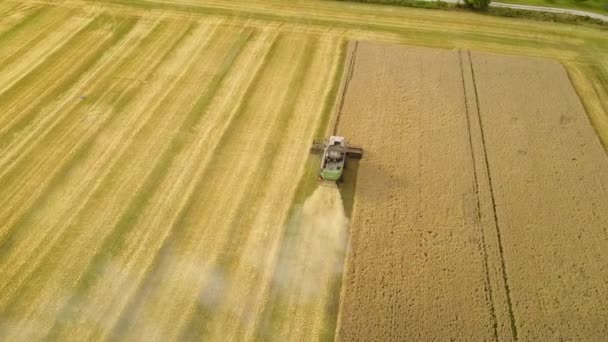 Mähdrescher Bei Der Arbeit Auf Einem Gerstenfeld Drohnenschuss Aus Der — Stockvideo