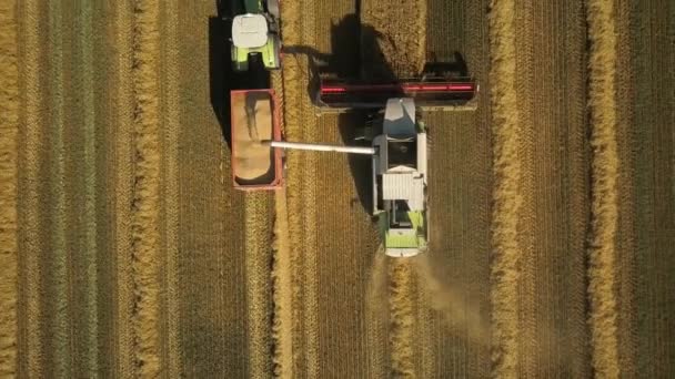Luftaufnahme Eines Mähdreschers Beim Entladen Von Getreide Lkw Drohne Abgeschossen — Stockvideo