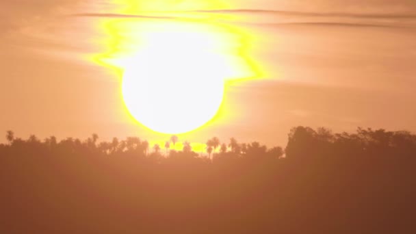 Sebuah Timelapse Dari Matahari Terbenam Alam Liar — Stok Video