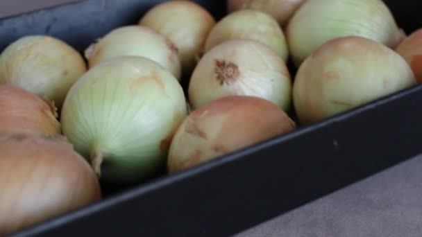 Pieces Whole White Onions Black Plastic Container Close — Stock Video