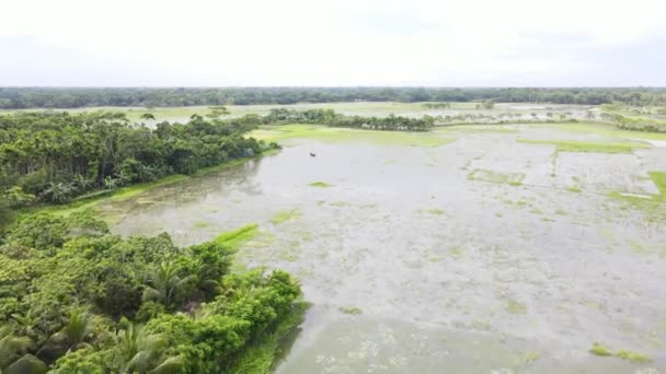 Vol Aérien Dessus Terres Agricoles Inondées Raison Inaction Face Aux — Video