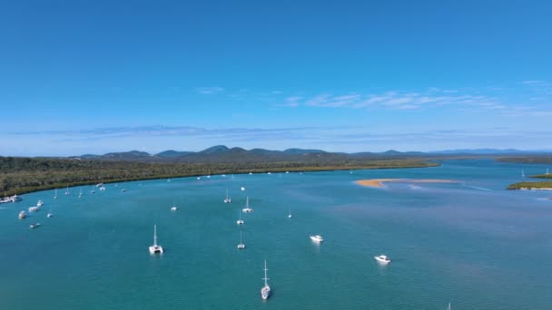 Flyg Över Yachter Och Fritidsbåtar Staden 1770 Queensland — Stockvideo