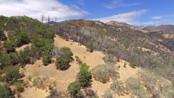 カリフォルニアの火の季節の間に頑丈なオークの丘鉱山ハイキングトレイルで森林を焼き払う空中ビュー — ストック動画