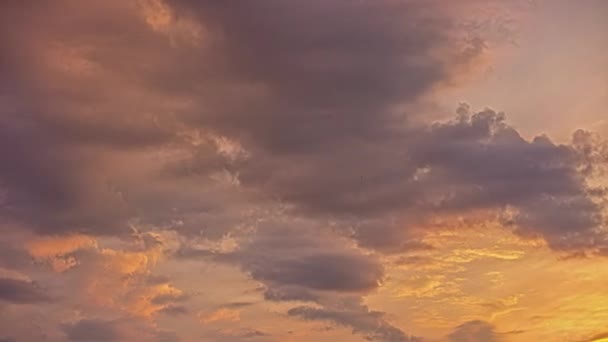 夕阳西下蓝天白云与黑云的低角度移动 — 图库视频影像