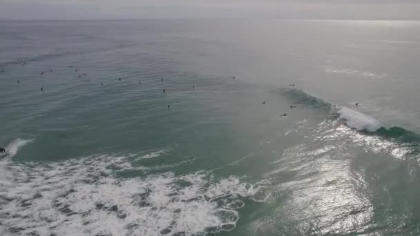 오스트레일리아 뉴사우스웨일스주 해변에서 여름철에 파도타기를 사람들 — 비디오