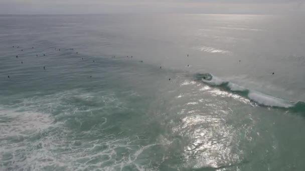 Surfers Duranbah Beach Sunset Tweed Heads Nsw Australia Aerial Drone — Stock Video