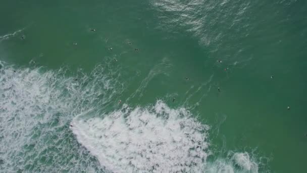 Vista Volo Uccello Sulla Spiaggia Duranbah Con Surfisti Testa Tweed — Video Stock