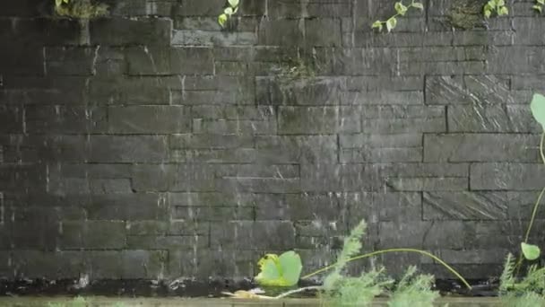 滴下水と装飾的な滝レンガの壁 — ストック動画