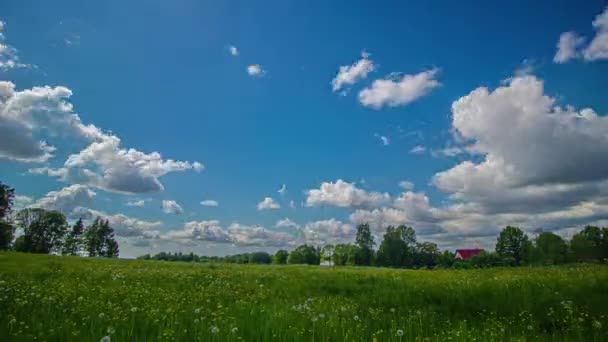 Aufnahme Weißer Wolkenbewegungen Zeitraffer Über Grünen Wiesen Mit Sonnenuntergang Hintergrund — Stockvideo