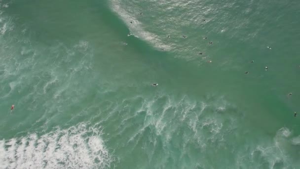 Vista Dall Alto Verso Basso Dei Surfisti Che Galleggiano Sull — Video Stock