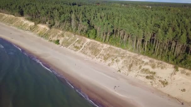 Vista Aérea Aves Praia Mar Báltico Jurkalne Letônia Dia Ensolarado — Vídeo de Stock