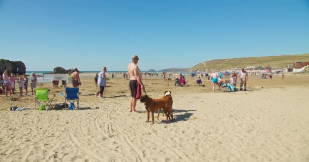 砂の海岸に立っている2匹のペット犬を持つ太った男とパーランビーチの背景に他の人と周りを見ます コーンウォール ワイドショット — ストック動画