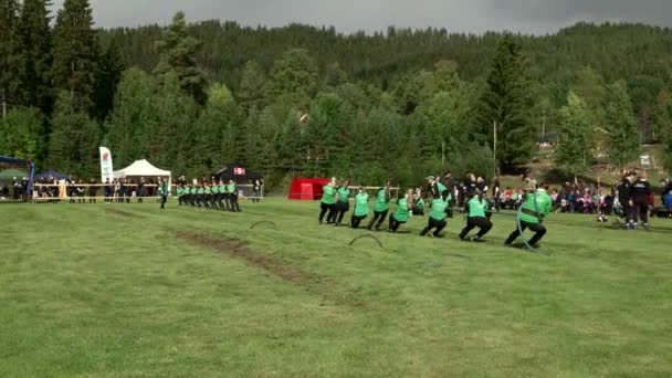 同じチームの2つのグループが競い合っています 戦争の綱引きでスウェーデン選手権 静的ワイドショット — ストック動画