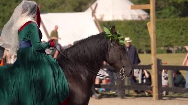 Nobele Dame Kostuum Klappen Zijn Handen Tijdens Het Rijden Een — Stockvideo