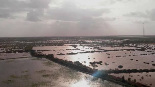Drona Captează Imaginile Inundațiilor Care Scufundă Câmpul Distrug Toată Vegetația — Videoclip de stoc