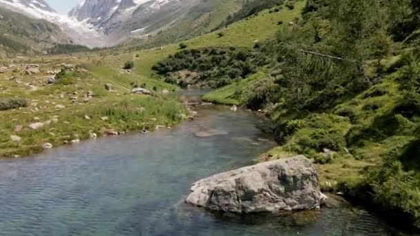 하늘을 날면서 청록색 호수를 여름에는 눈덮인 흐른다 스위스 골짜기 — 비디오