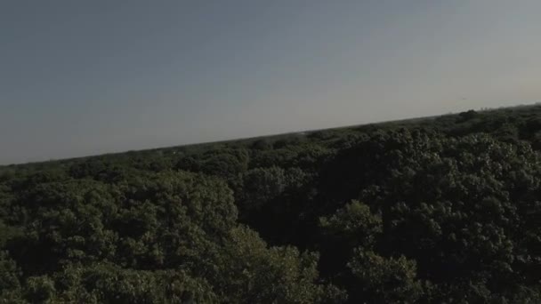 Luftaufnahme Eines Üppig Grünen Parks Einem Sonnigen Abend Gibt Blauen — Stockvideo