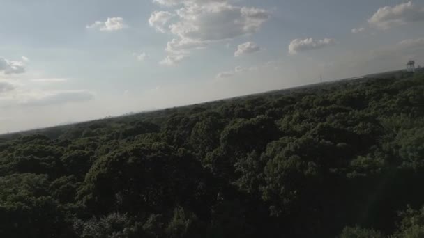 Flygfoto Över Lummig Park Solig Kväll Det Finns Blå Himmel — Stockvideo