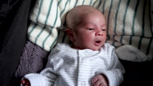 躺在婴儿车床上的11天剃光头男婴的俯视图 — 图库视频影像